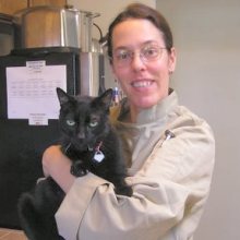 Kit Kat the Mascot, 1993-2012