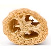 Loofah Disc